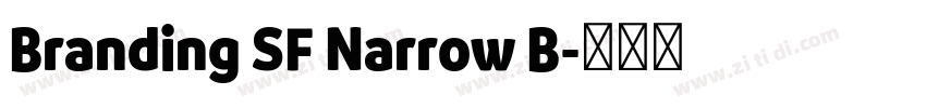 Branding SF Narrow B字体转换